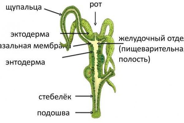 Kraken актуальный сайт