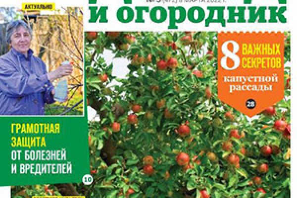 Полезные сайты тор